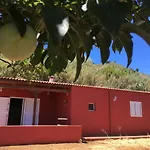 Rafael *