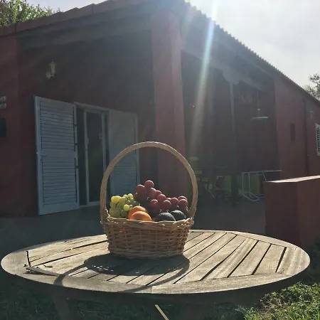 Rafael Holiday home Vega de San Mateo