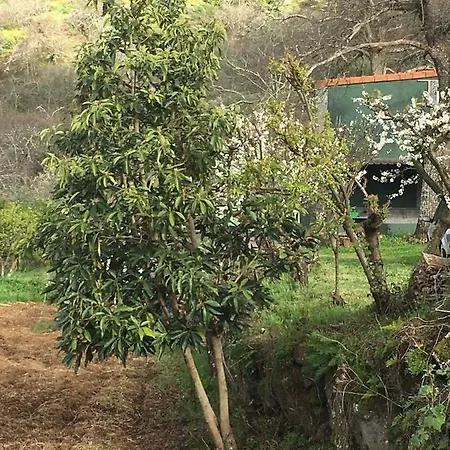 Casa de Férias Rafael *