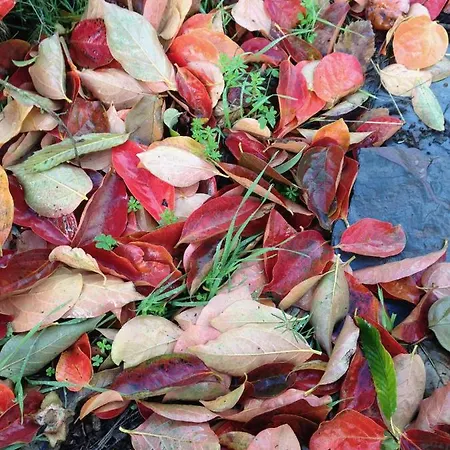 Rafael بيت للعطل فيغا دي سان ماتيو